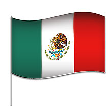 MEXICO FLAG (ECONOMY)